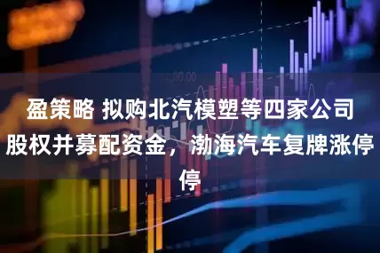 盈策略 拟购北汽模塑等四家公司股权并募配资金，渤海汽车复牌涨停